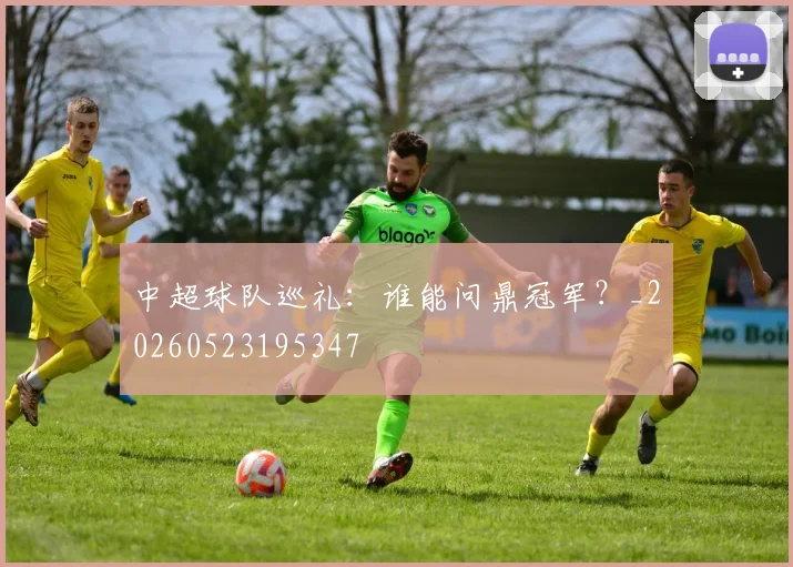 中超球队巡礼：谁能问鼎冠军？_20260523195347