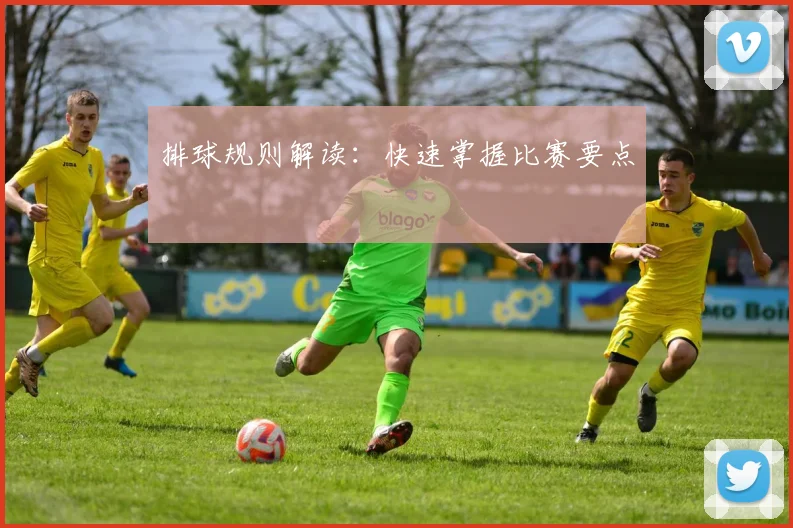 排球规则解读：快速掌握比赛要点