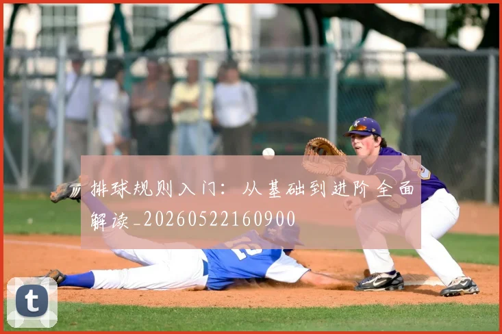 排球规则入门：从基础到进阶全面解读_20260522160900